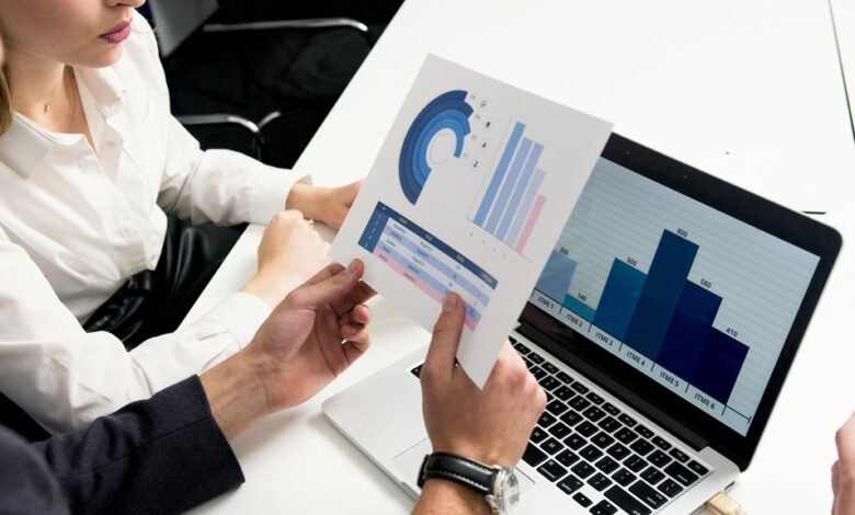 fraud analysis support team